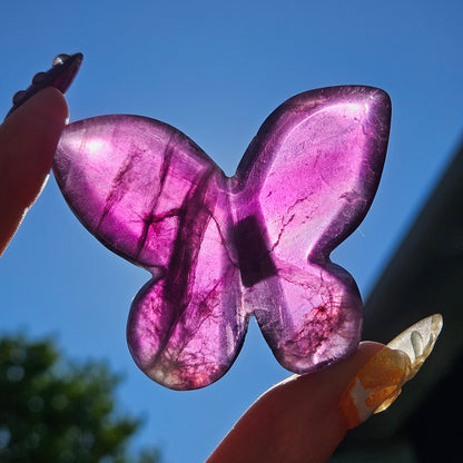 Fluoride 3D butterfly