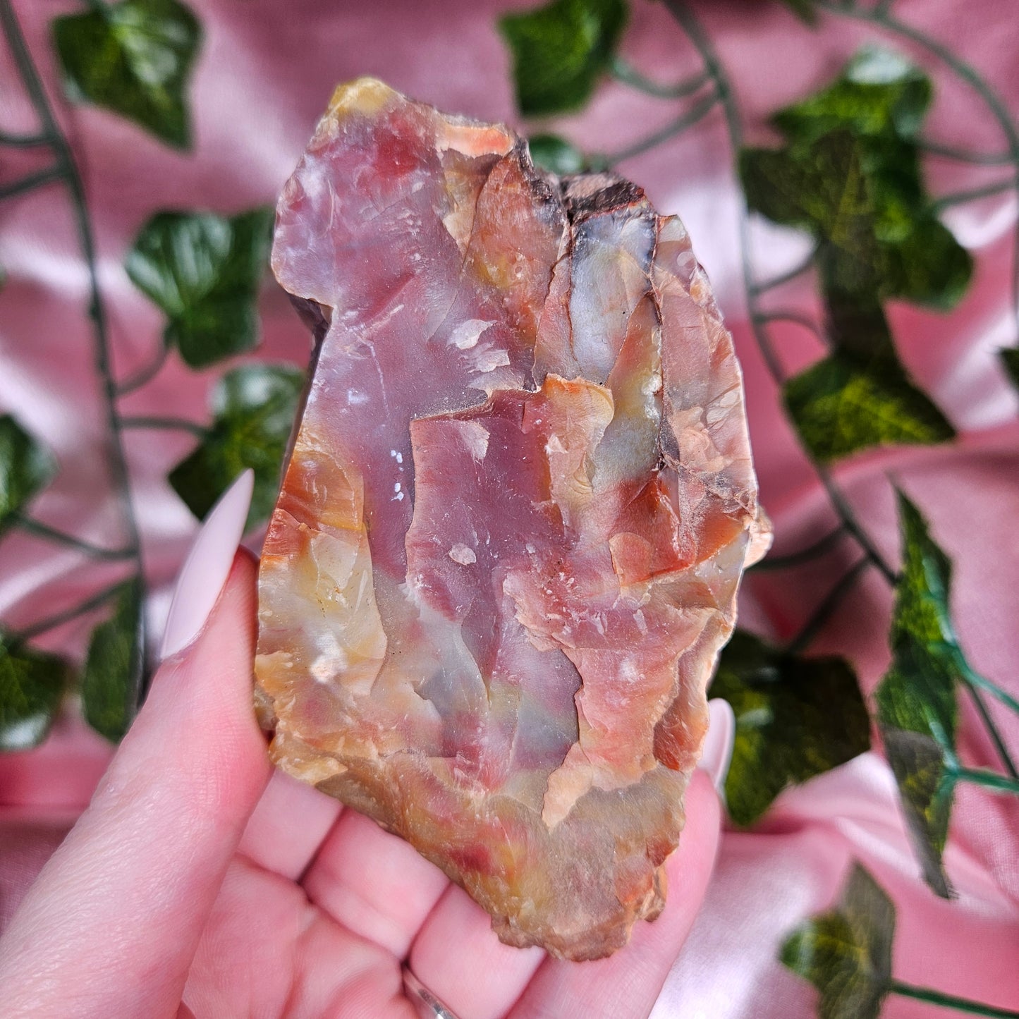 Petrified wood from Arizona