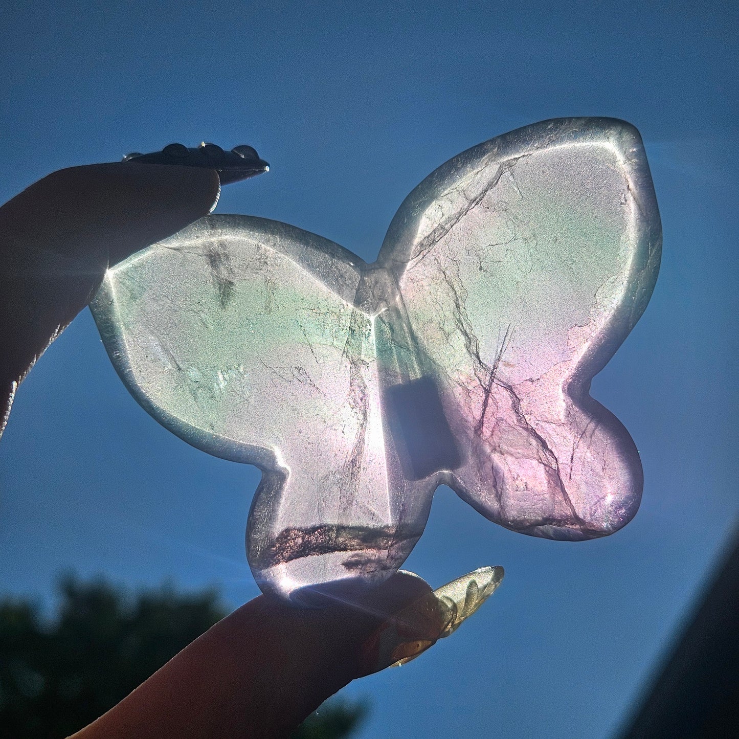Fluorite 3D butterfly