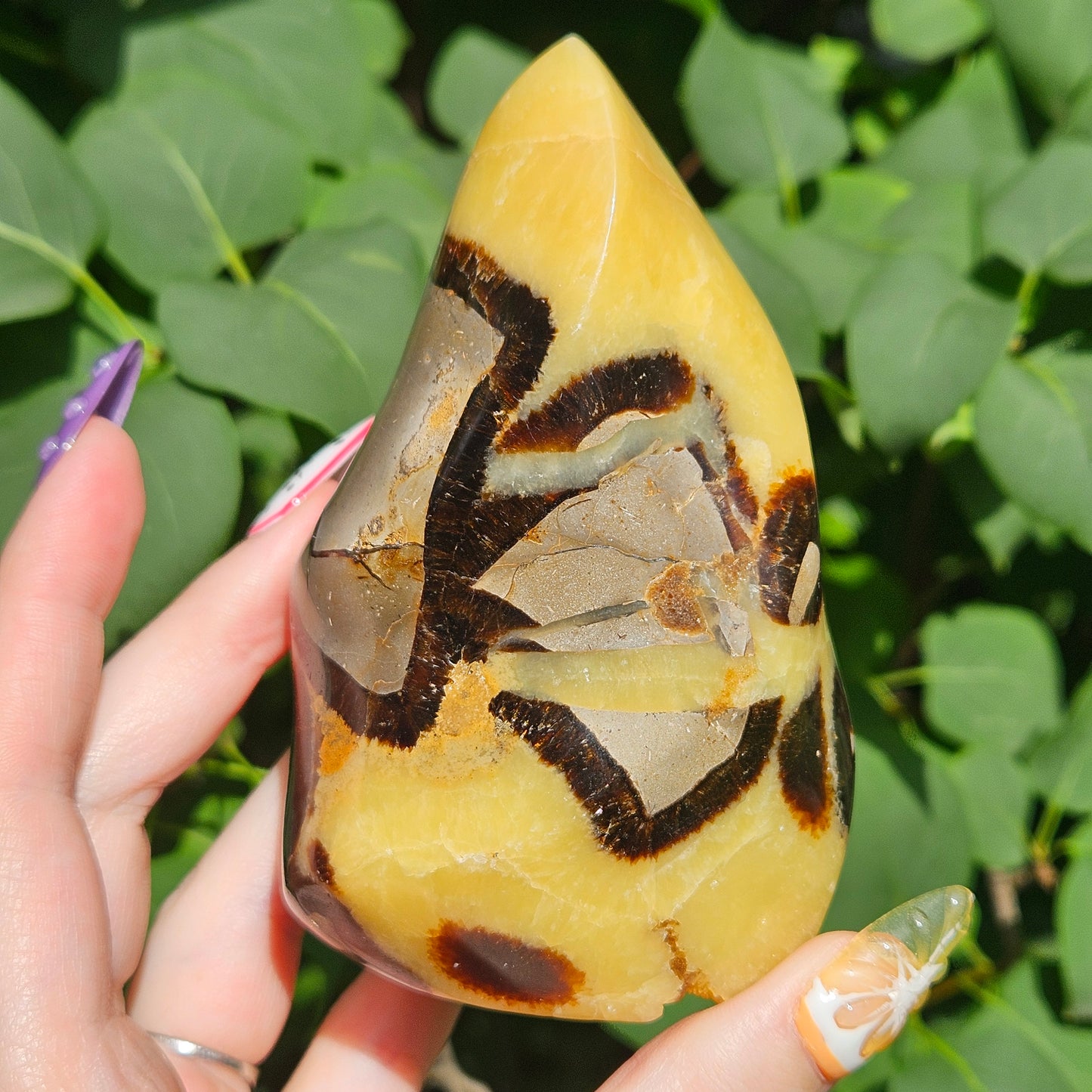 Septarian flame (UV reactive)