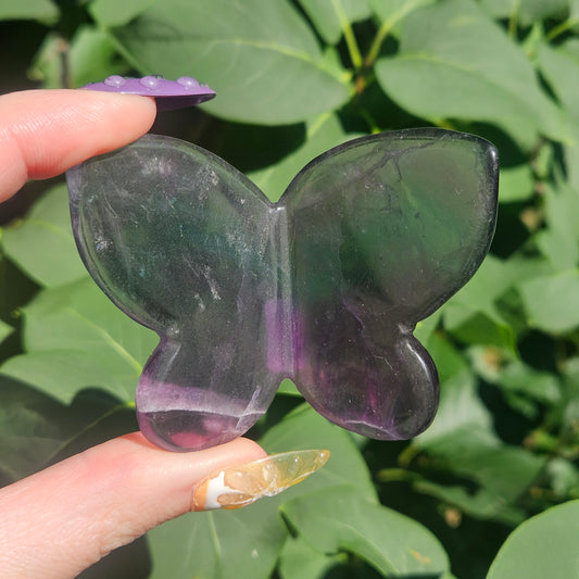 Fluorite 3D butterfly