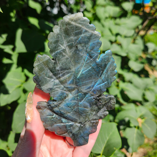 Labradorite leaf