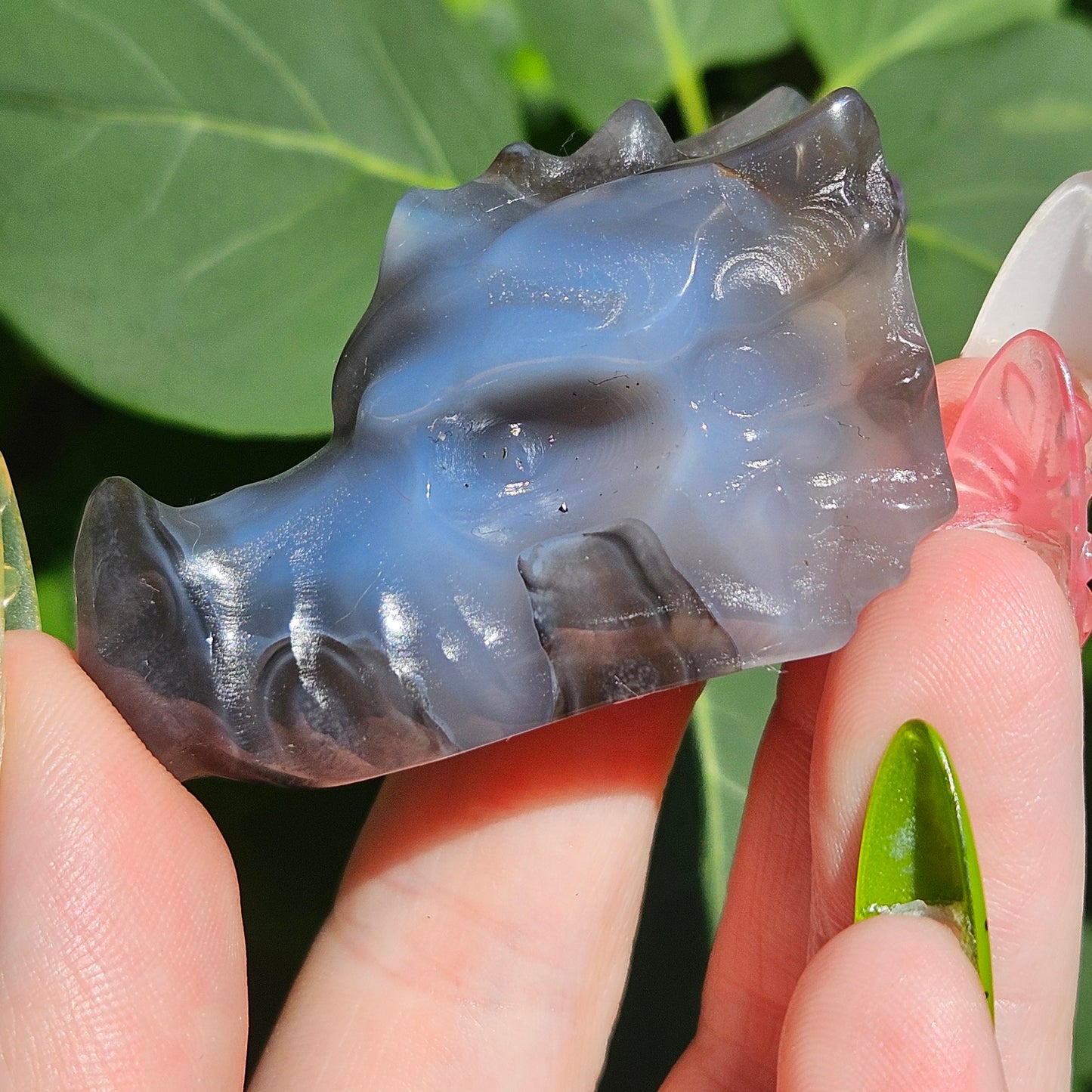 Volcanic agate dragon head H