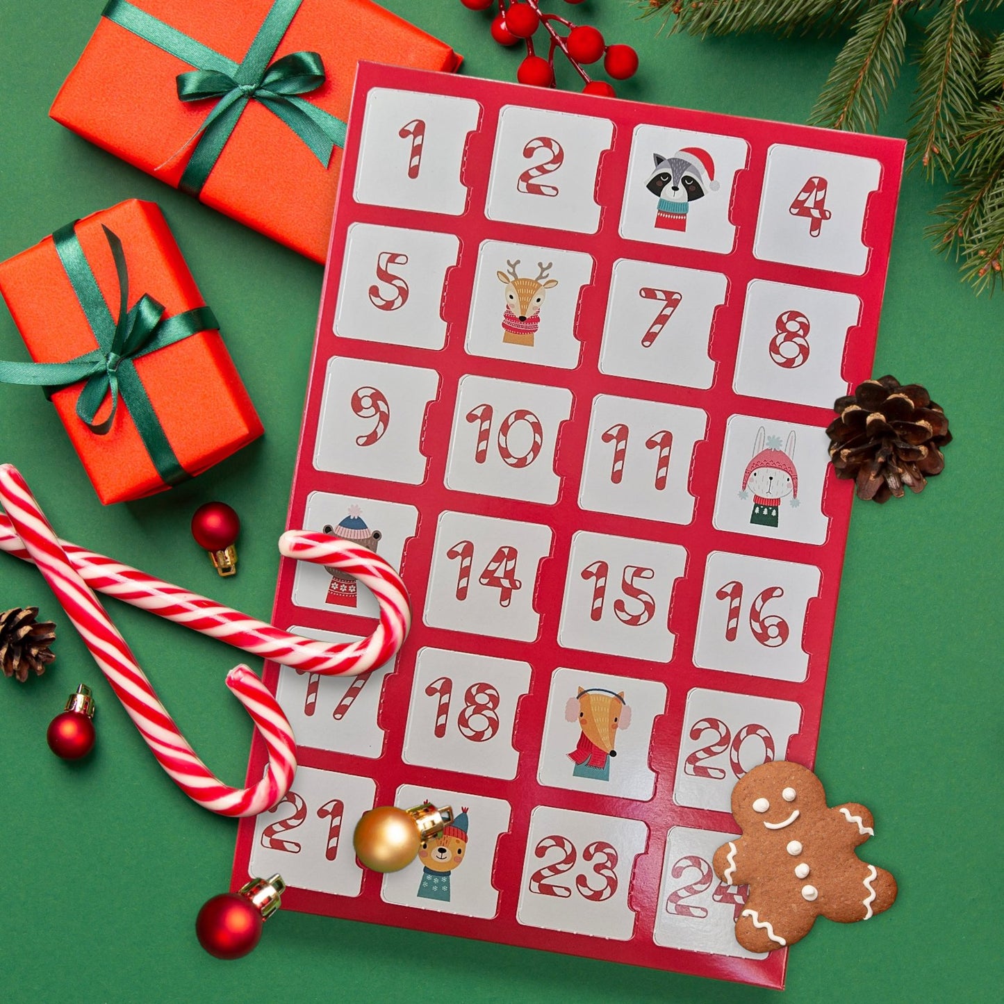 24 day Advent calendar