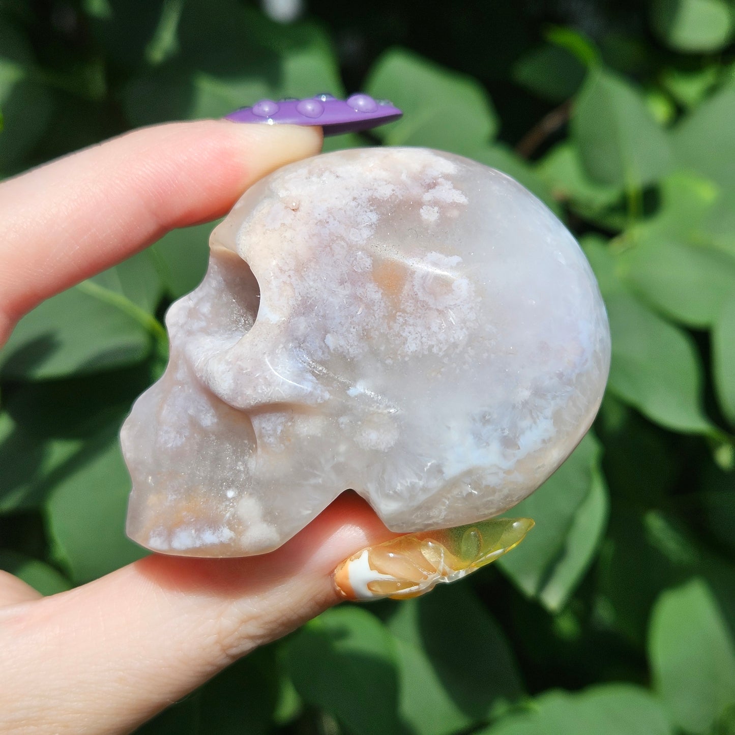 Flower agate skull