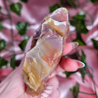 Petrified wood from Arizona
