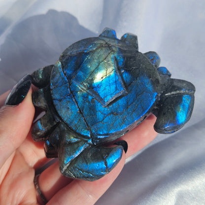 Labradorite crab
