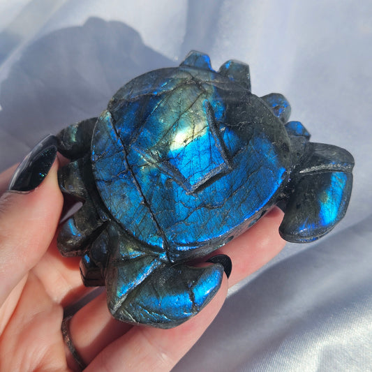 Labradorite crab