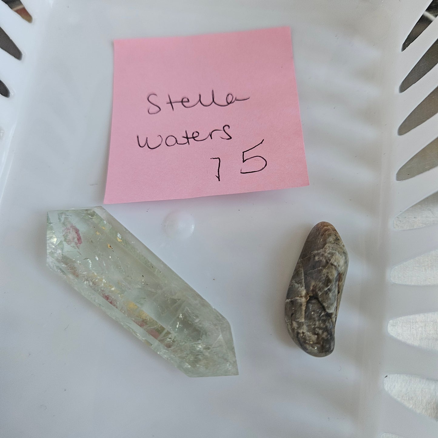 Stella Waters