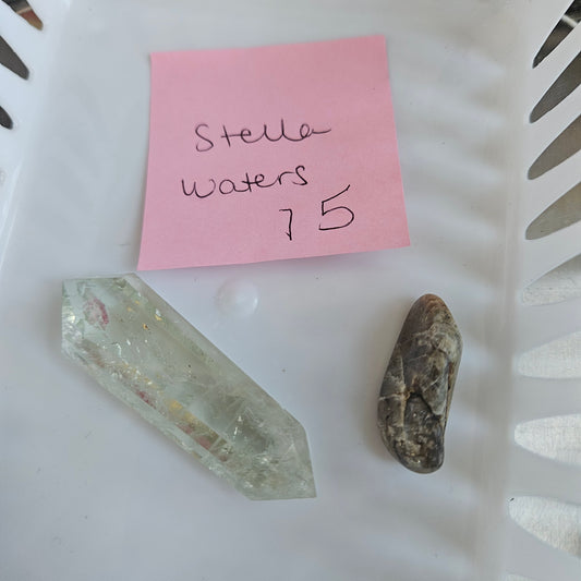 Stella Waters