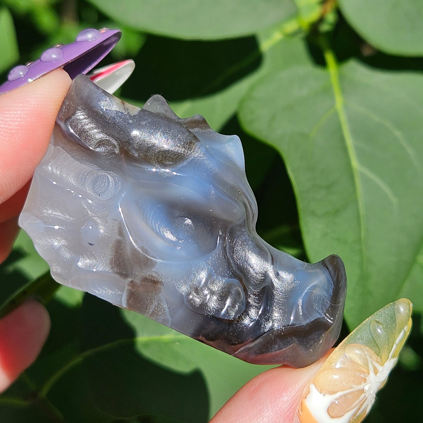 Volcanic agate dragon head H