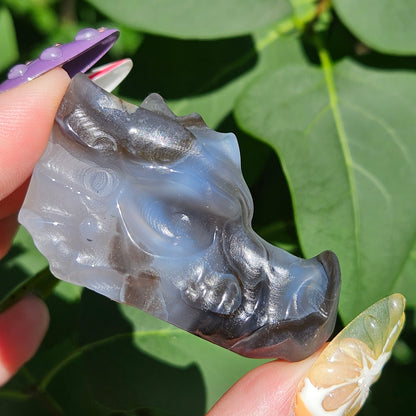 Volcanic agate dragon head H