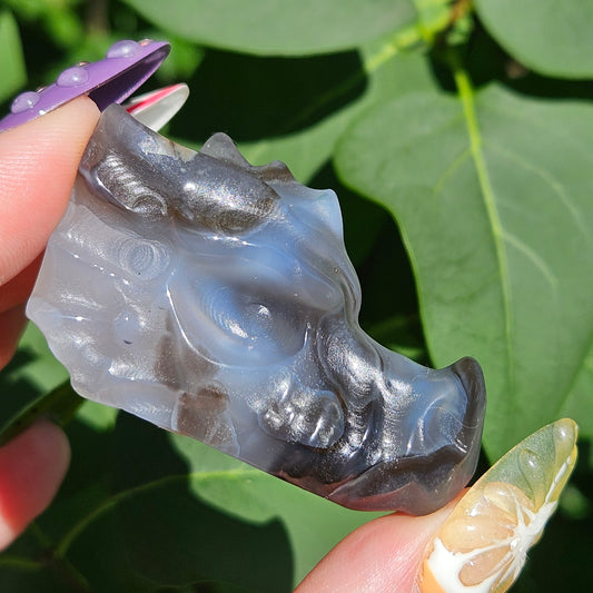 Volcanic agate dragon head H