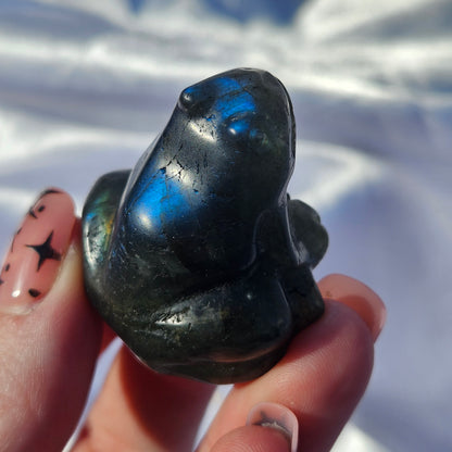 Labradorite frog
