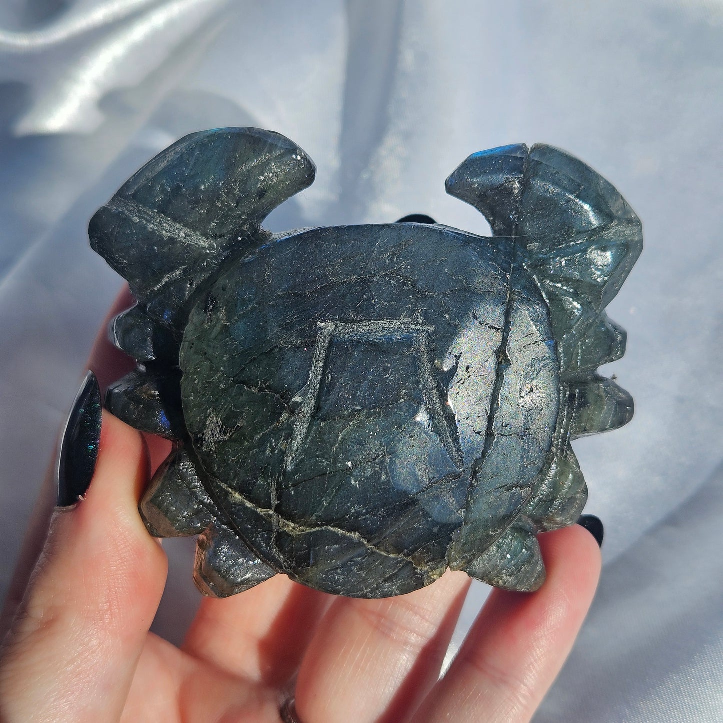Labradorite crab