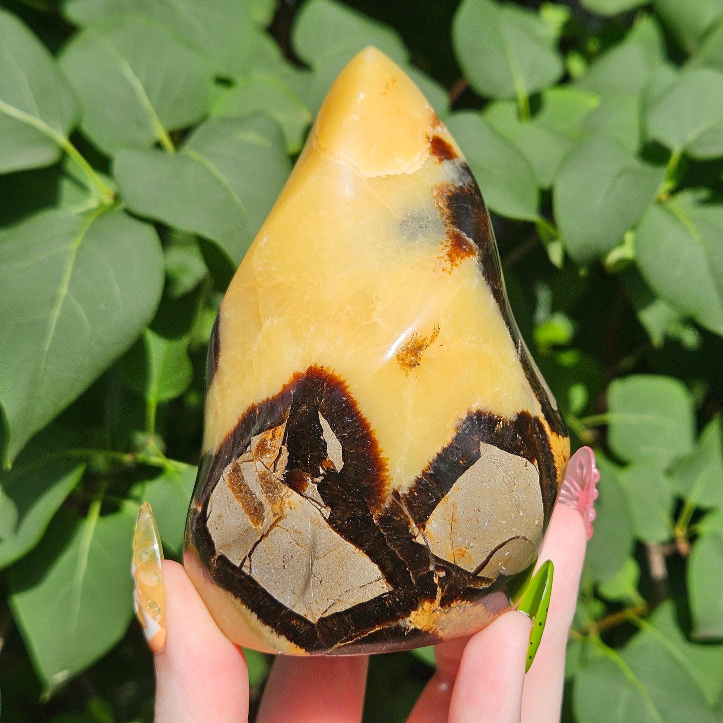 Septarian flame (UV reactive)