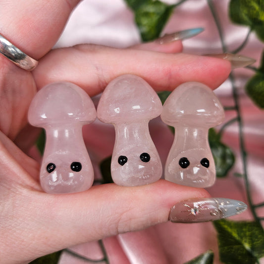 Mushie buddy