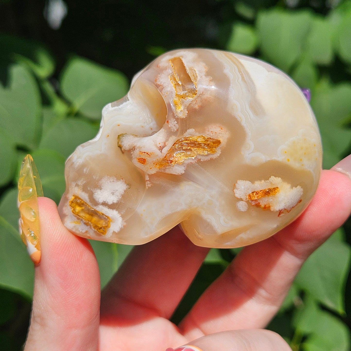 Flower agate skull