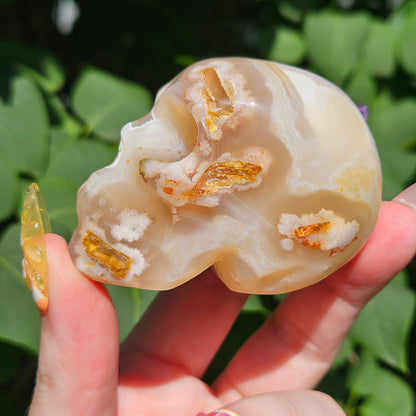 Flower agate skull