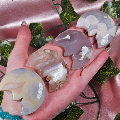 Flower agate moon face🌛