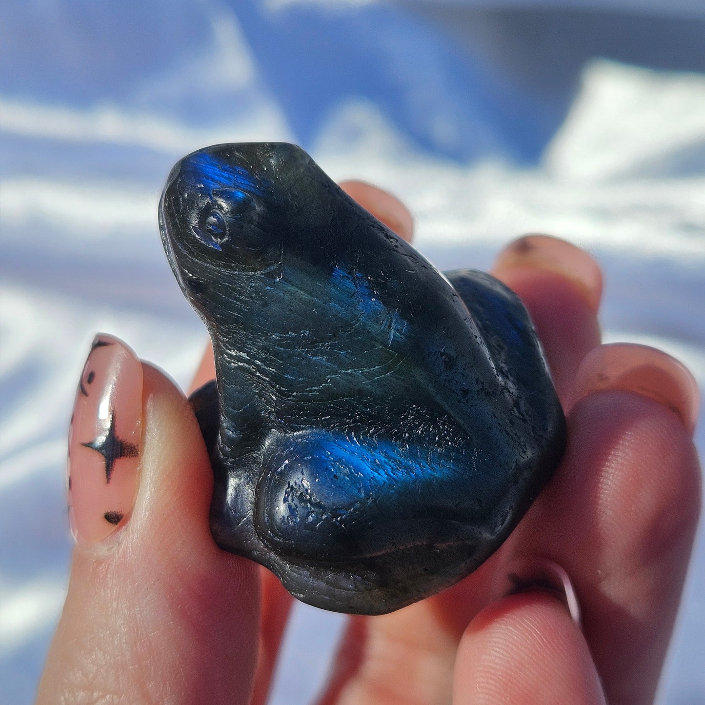 Labradorite frog