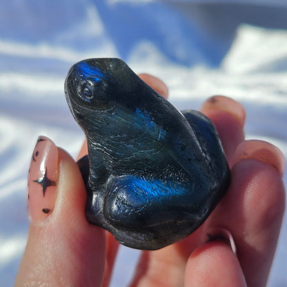 Labradorite frog