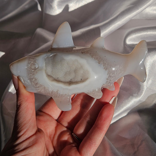 Druzy agate shark