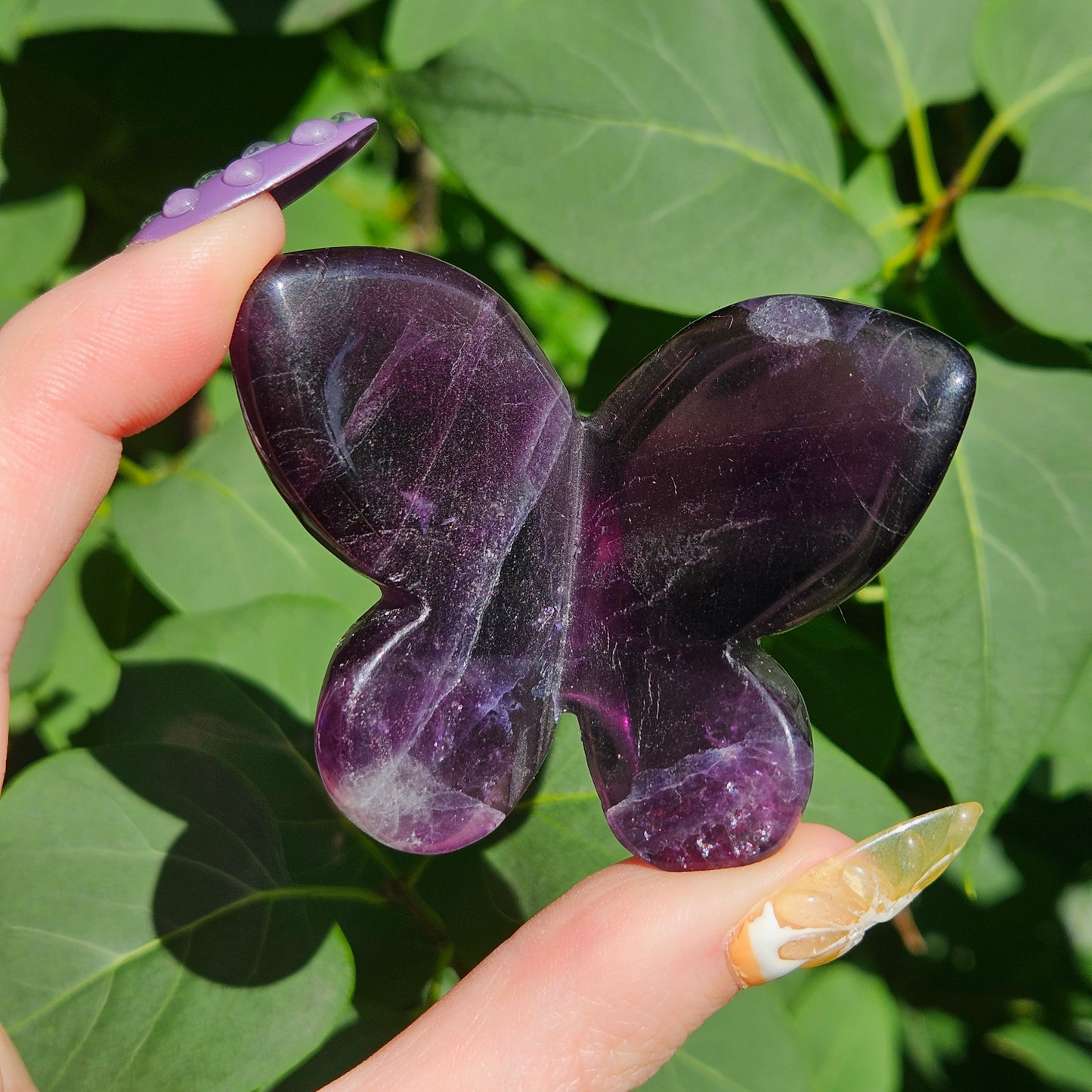Fluoride 3D butterfly