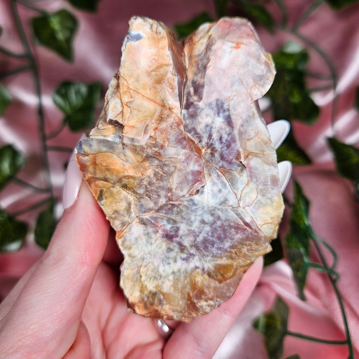 Petrified wood from Arizona