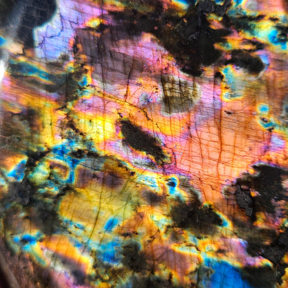 High quality moody labradorite Freeform