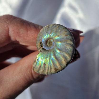 Halloween car vent clips