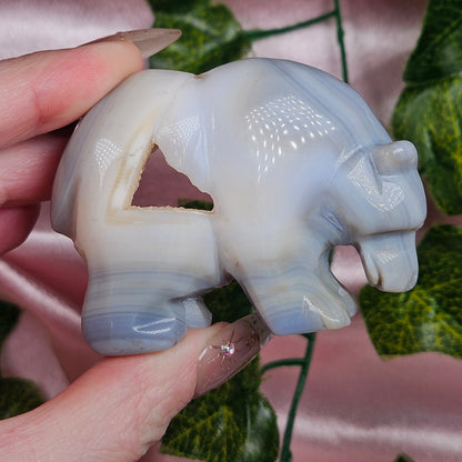 Druzy agate bear 🐻