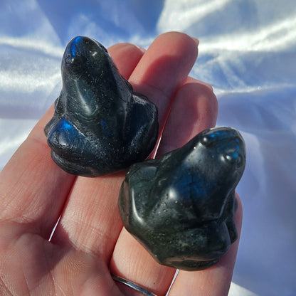 Labradorite frog