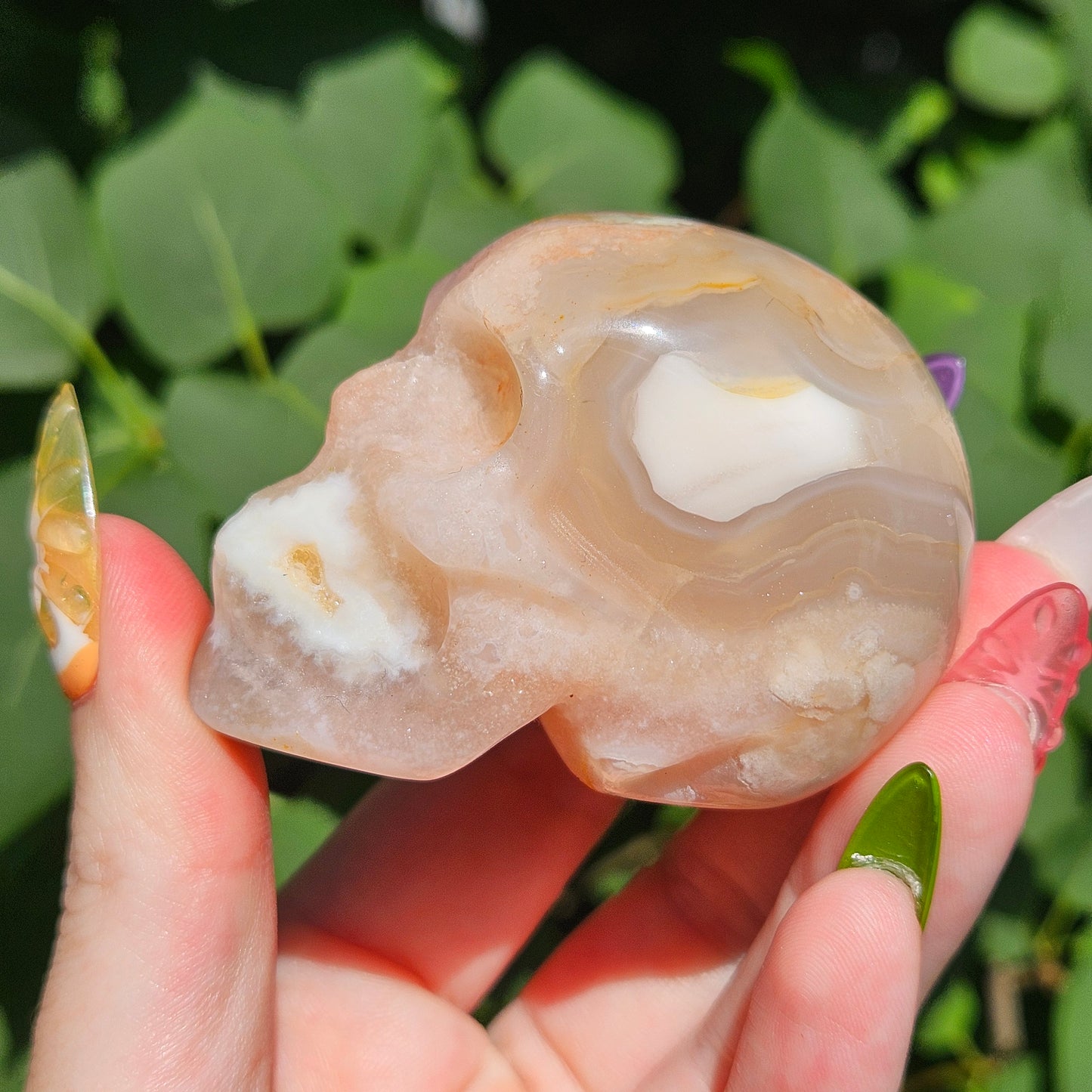 Flower agate skull
