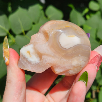 Flower agate skull