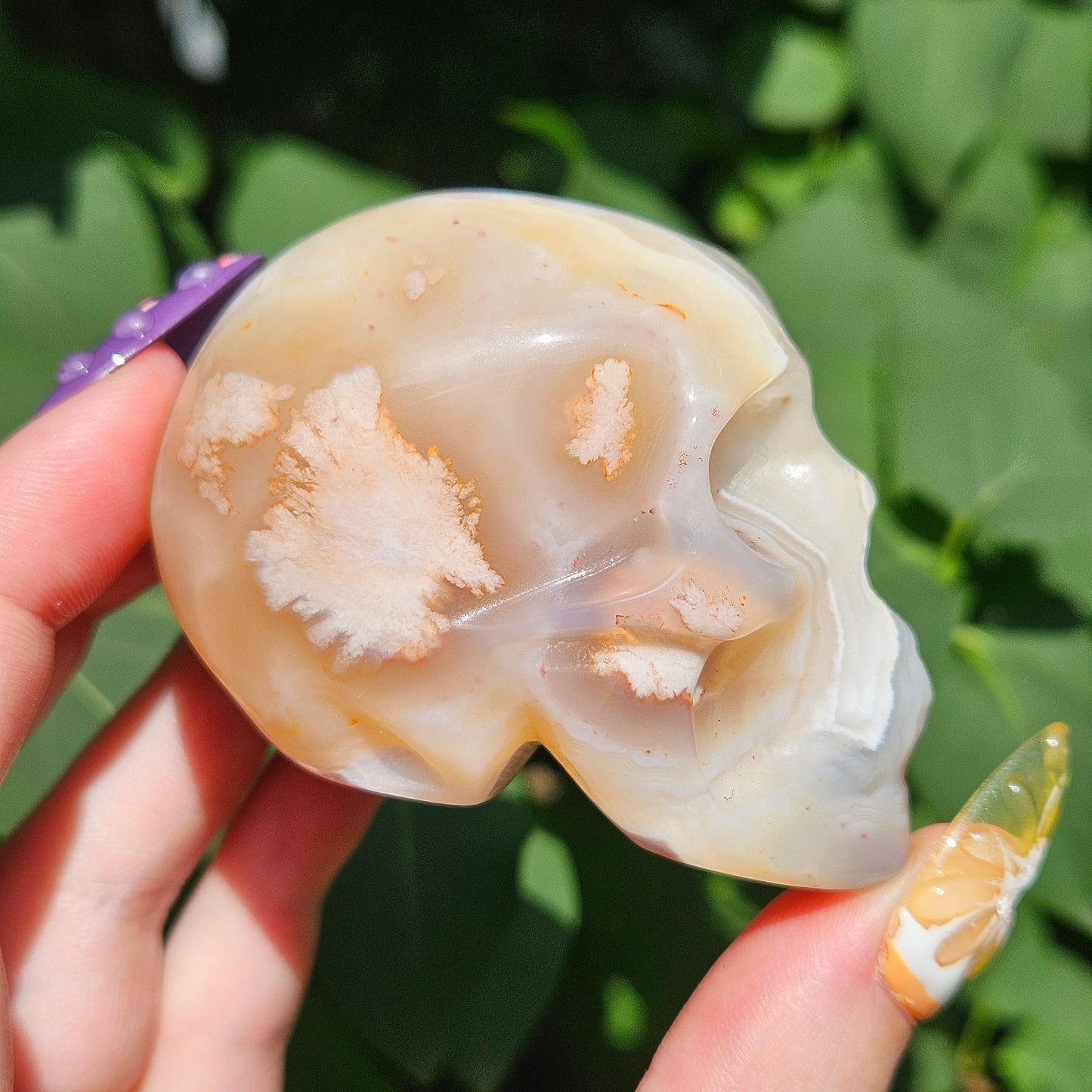 Flower agate skull