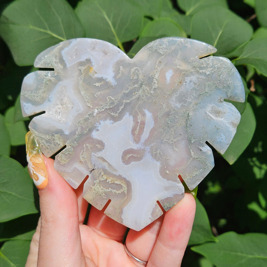 Moss agate monstera leaf